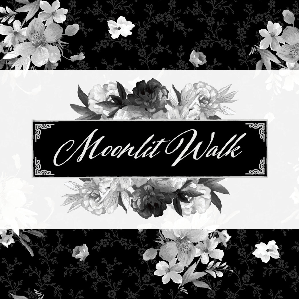 Moonlit Walk - December 2025