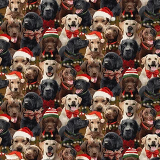 Holiday Labs by Robert Giordano - July 2027