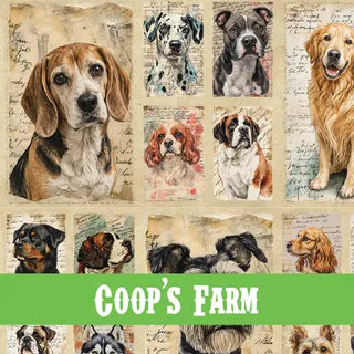 Coops Farm - August 2026