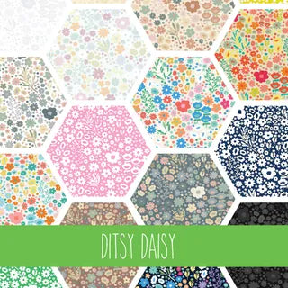 Ditsy Daisy - November 2025