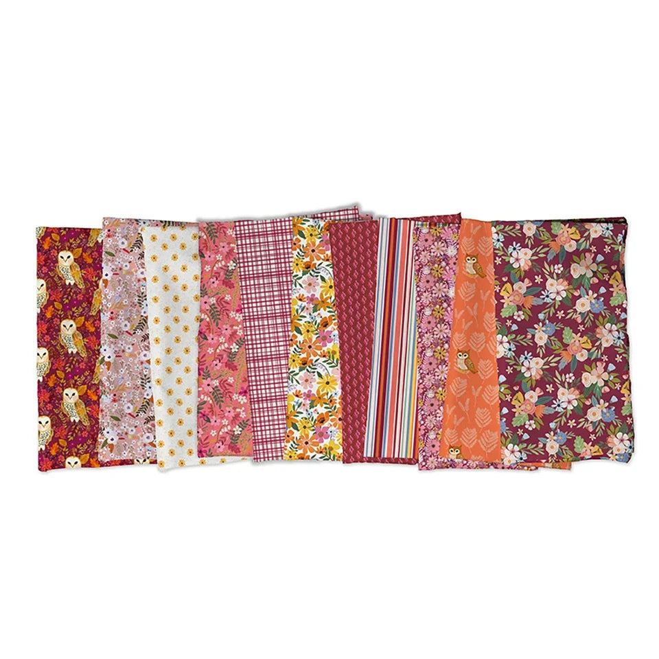 PWMC135.XWHITE Forest Song Daisies