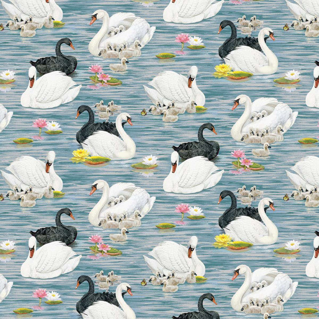 Swan Sanctuary by Rosiland Soloman - July 2026