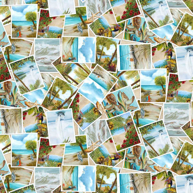 Window Paradise by Lisa Sparling - June 2026