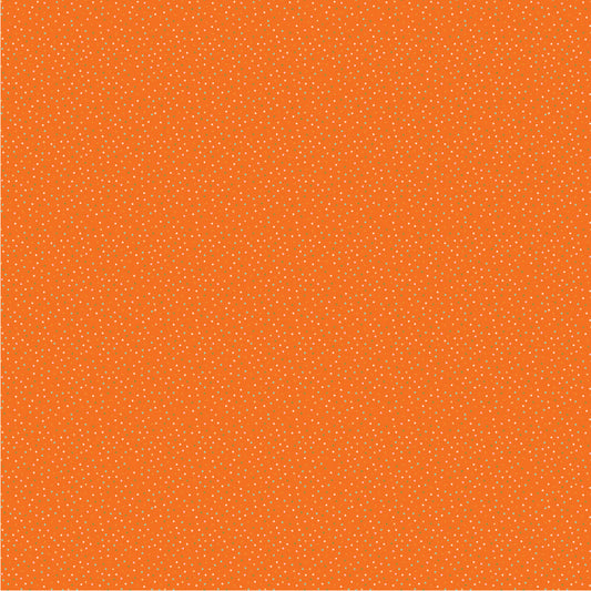 CREAMSICLE - BRIGHT ORANGE - Country Confetti BRIGHTS