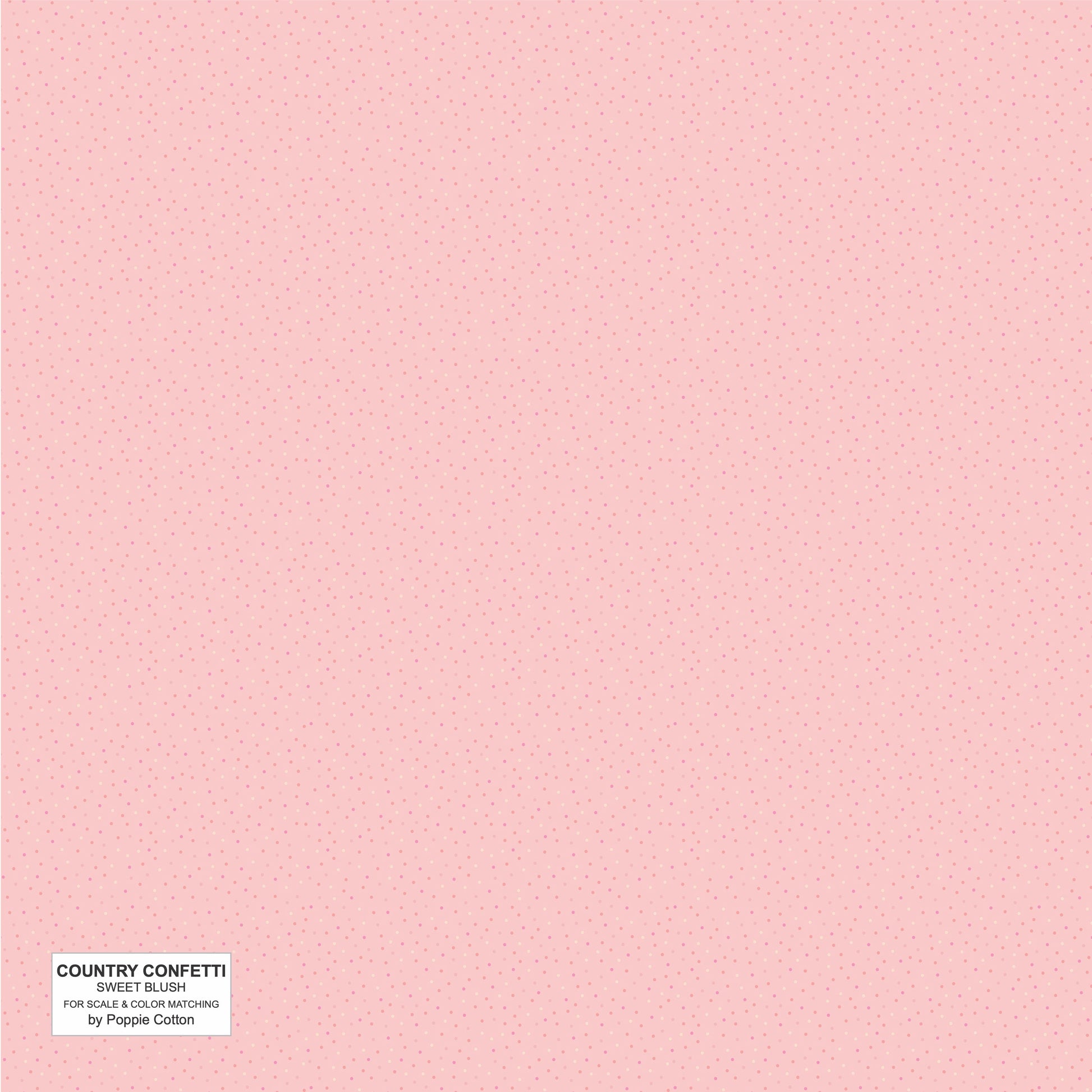 SWEET BLUSH PINK - Country Confetti