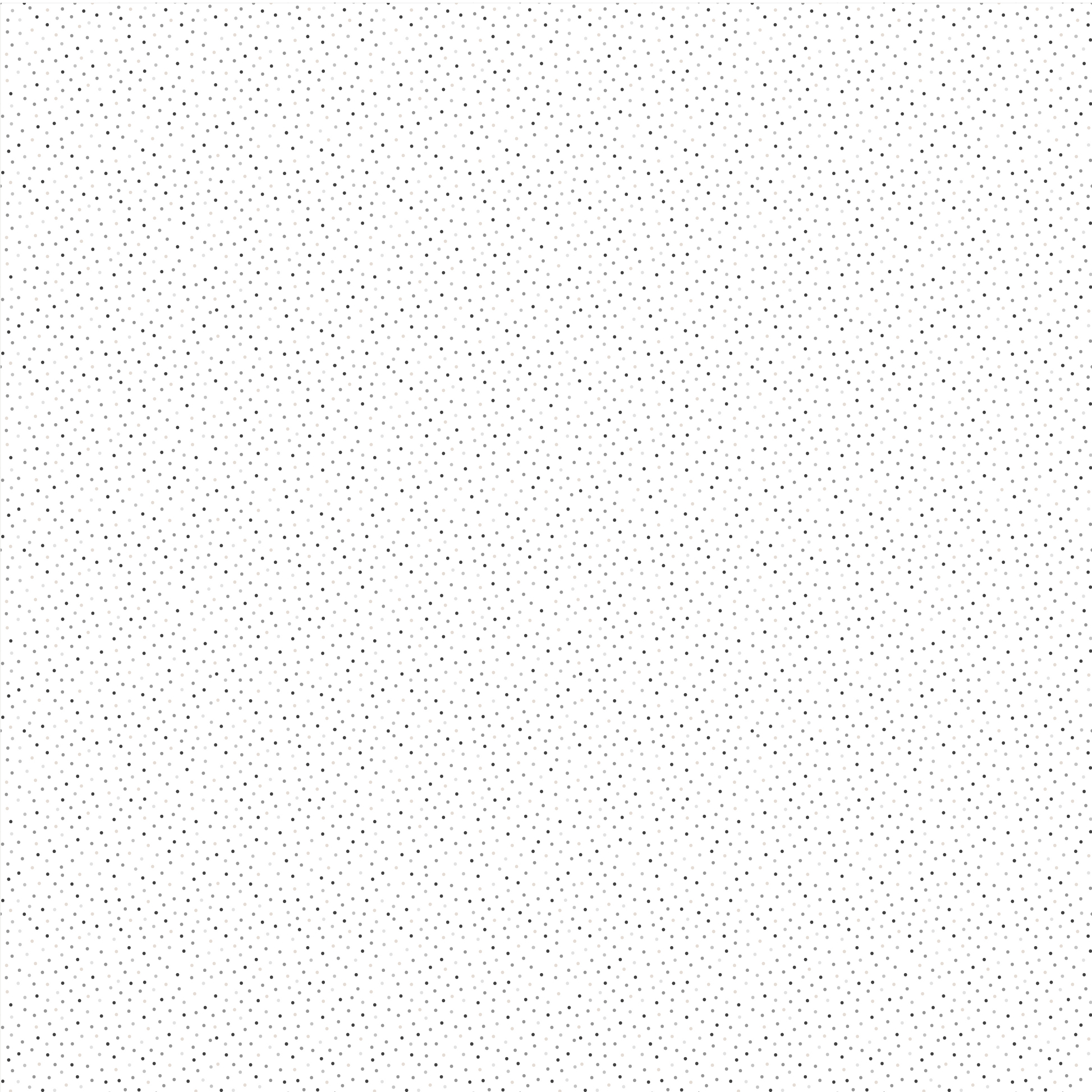 GENTLEMEN'S WHITE - Country Confetti