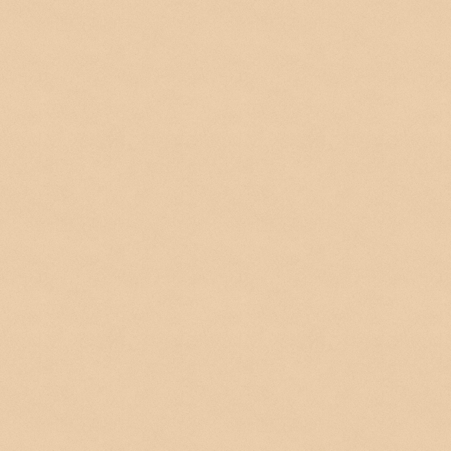 1149-40 Sifted Flour Sifted Flour Texture