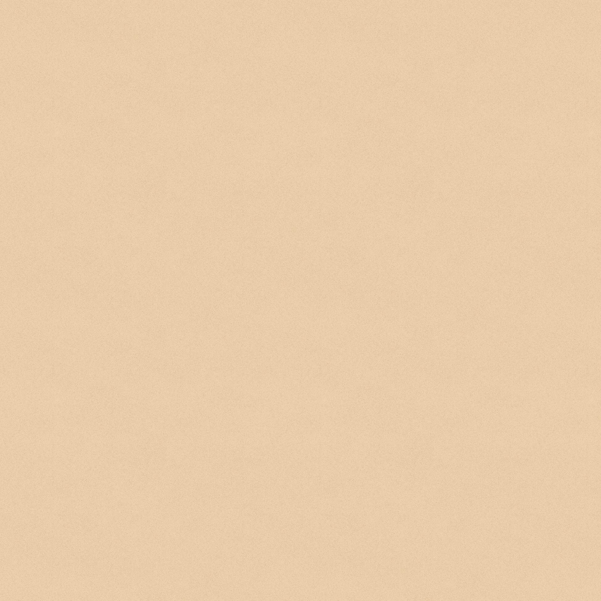 1149-40 Sifted Flour Sifted Flour Texture