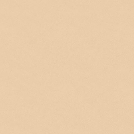 1149-40 Sifted Flour Sifted Flour Texture