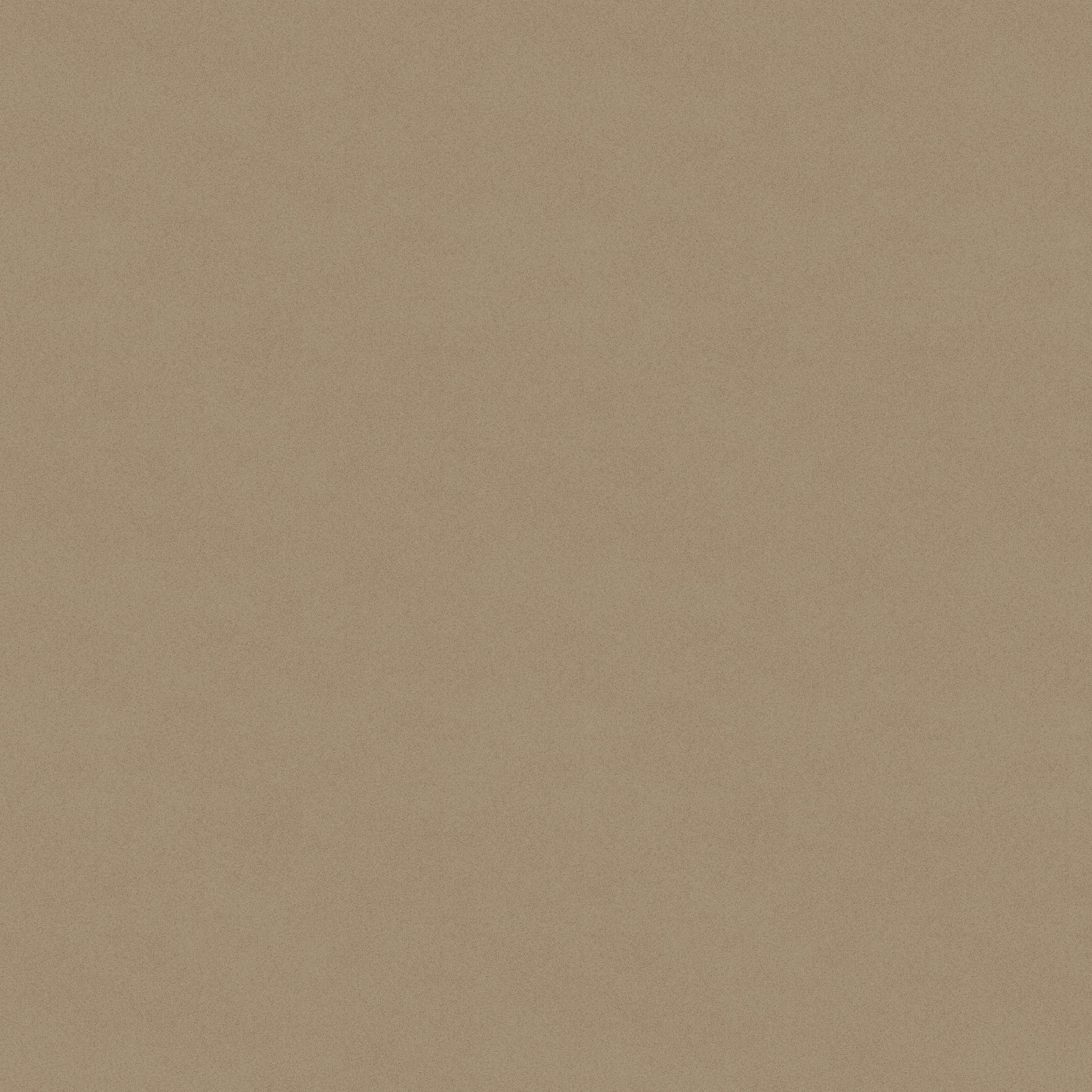 1149-90 Sifted Flour Sifted Flour Texture