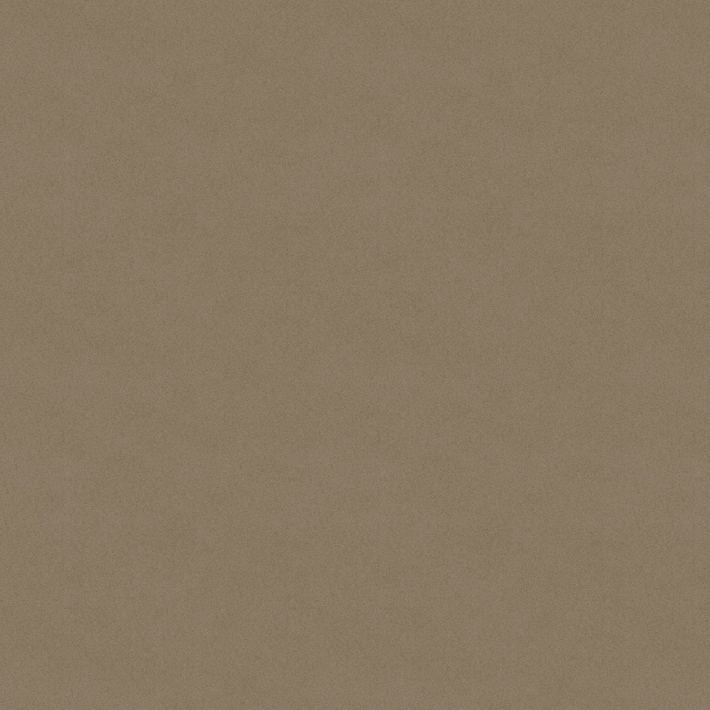 1149-93 Sifted Flour Sifted Flour Texture