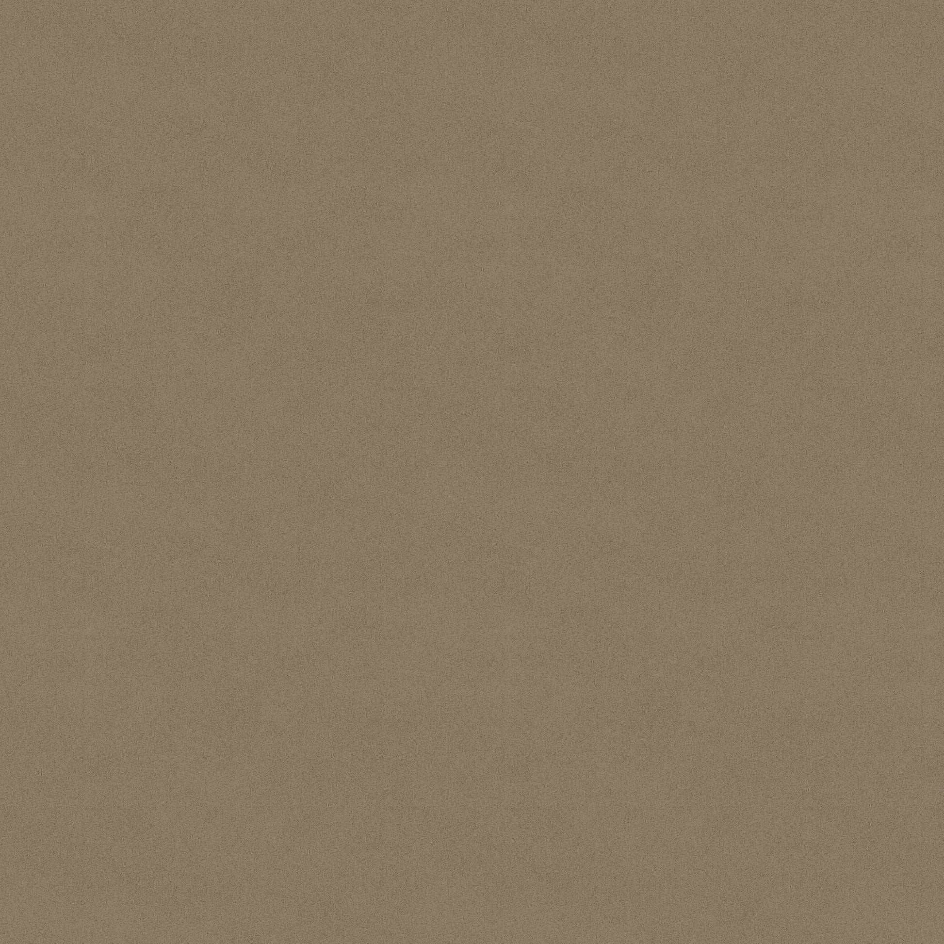 1149-93 Sifted Flour Sifted Flour Texture