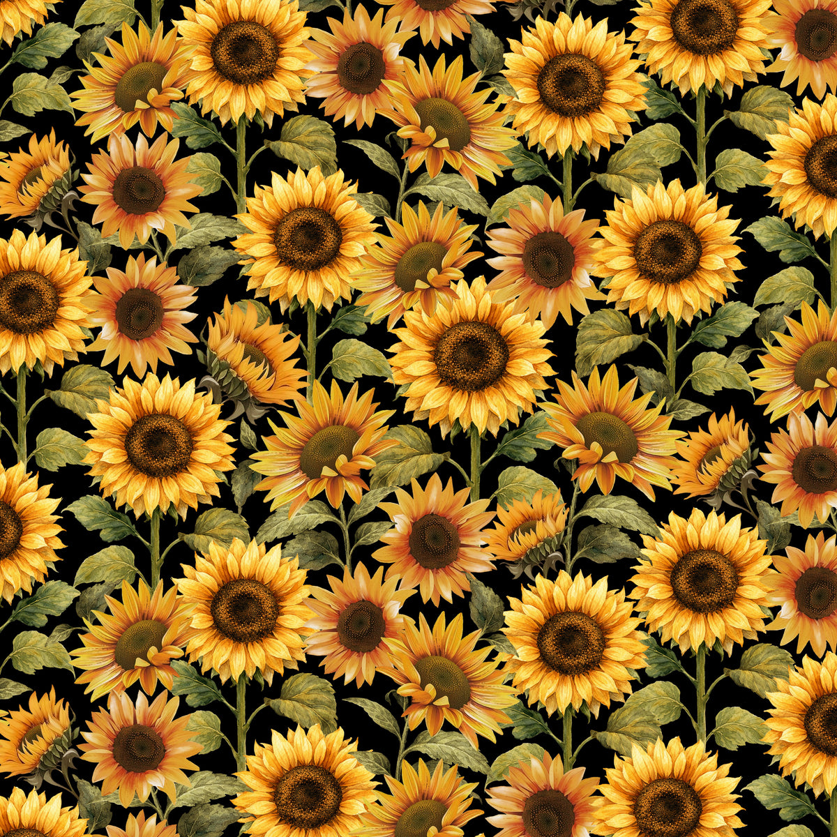 1589-93 Red Harvest Lane Sunflowers