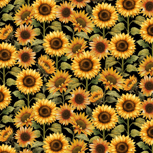 1589-93 Red Harvest Lane Sunflowers