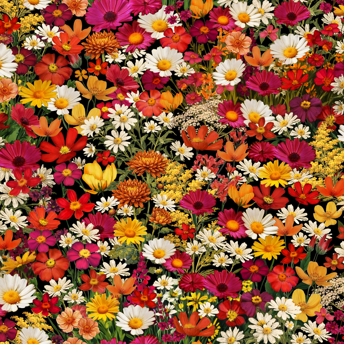 1590-99 Red Harvest Lane Wildflowers