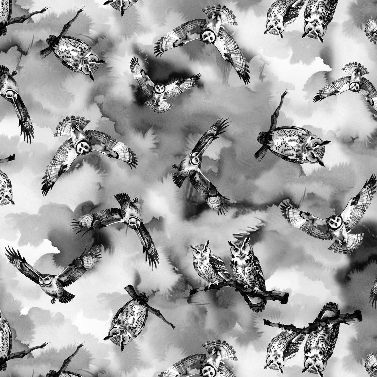1645-95 Briarwood Tales Stormy Owls