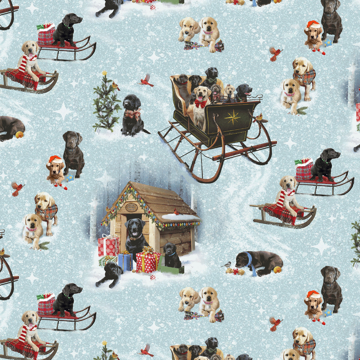 1725-79 Holiday Labs Outdoor Play