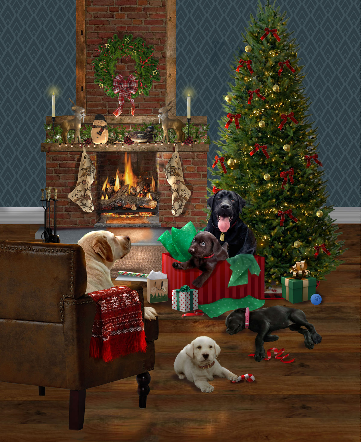 1735PH-36 Holiday Labs Labs Panel