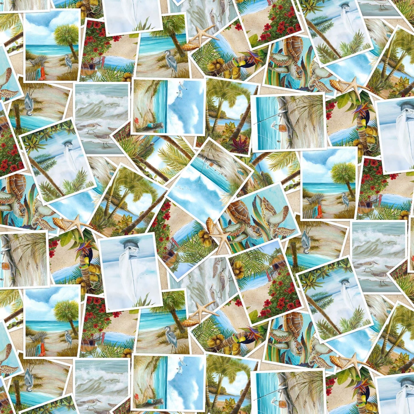 2325-31 Window to Paradise Postcard Tossed