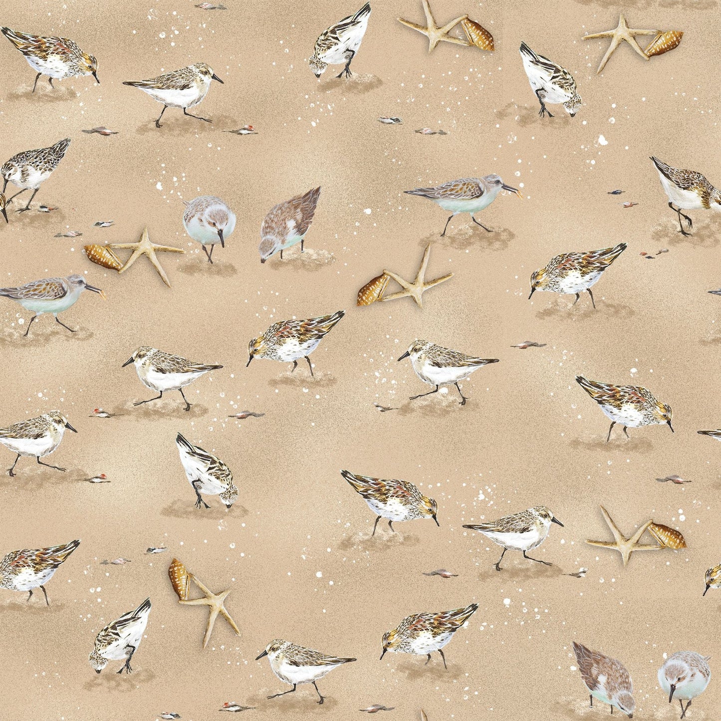 2327-31 Window to Paradise Shorebirds