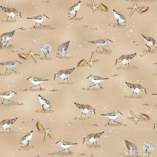 2327-31 Window to Paradise Shorebirds