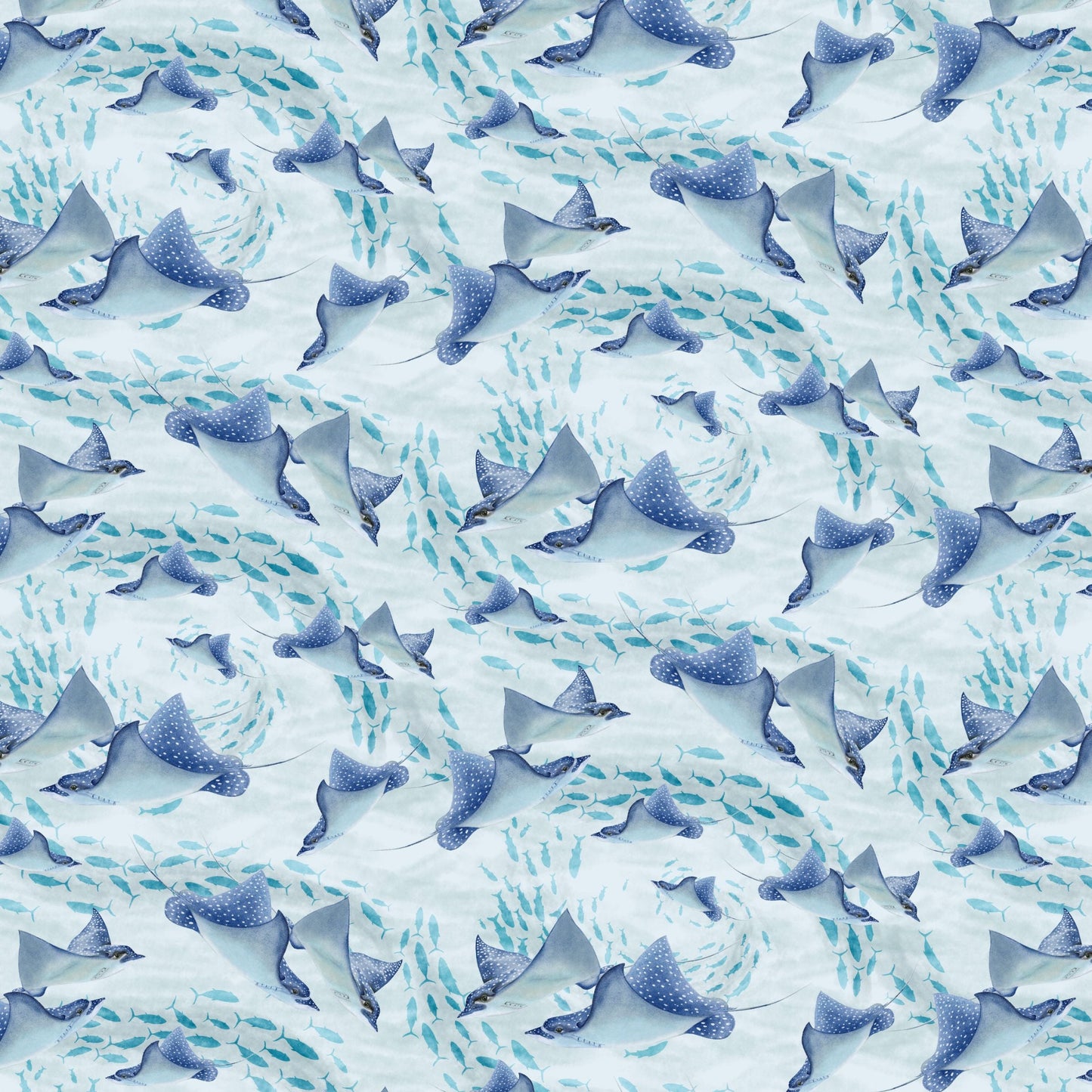 2333-11 Window to Paradise Spotted eagle rays