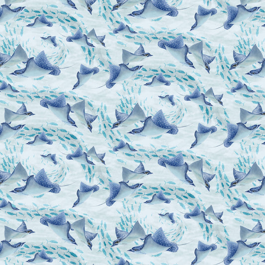 2333-11 Window to Paradise Spotted eagle rays