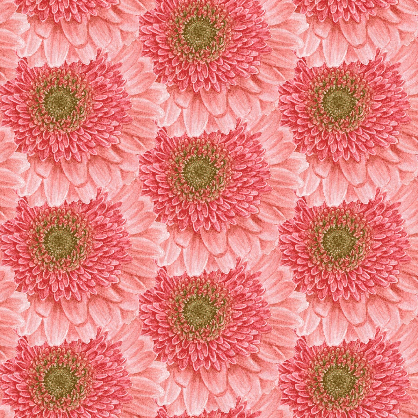 2441-22 BLOOMSCAPE - PACKED DAISY
