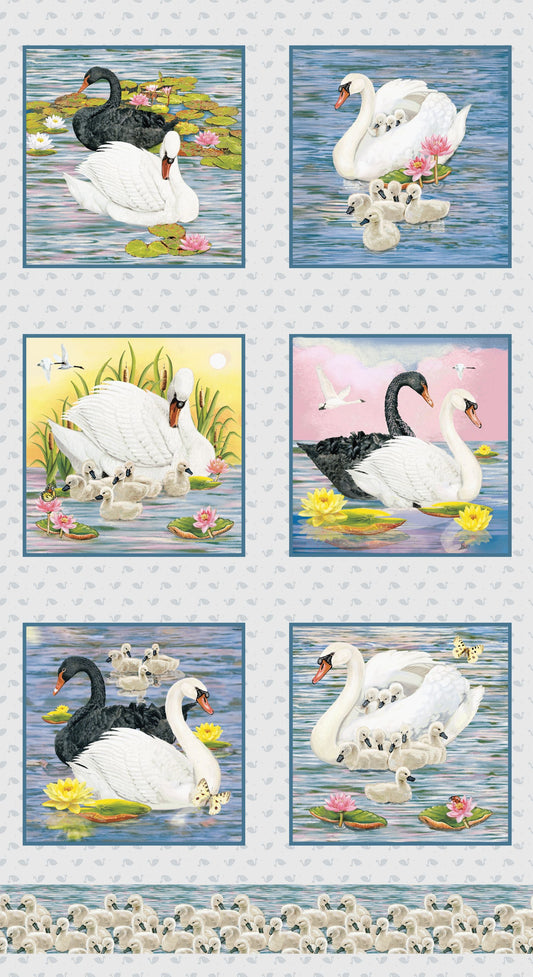2495B-73 Swan Sanctuary Blocks