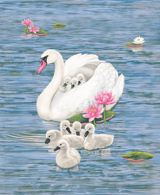 2496P-71 Swan Sanctuary Panel