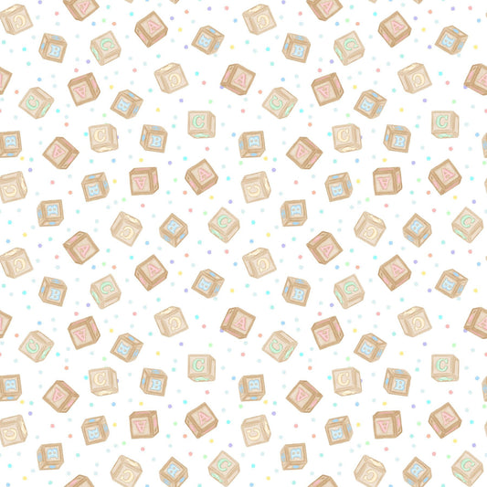 2512-03 Special Delivery Letter Blocks