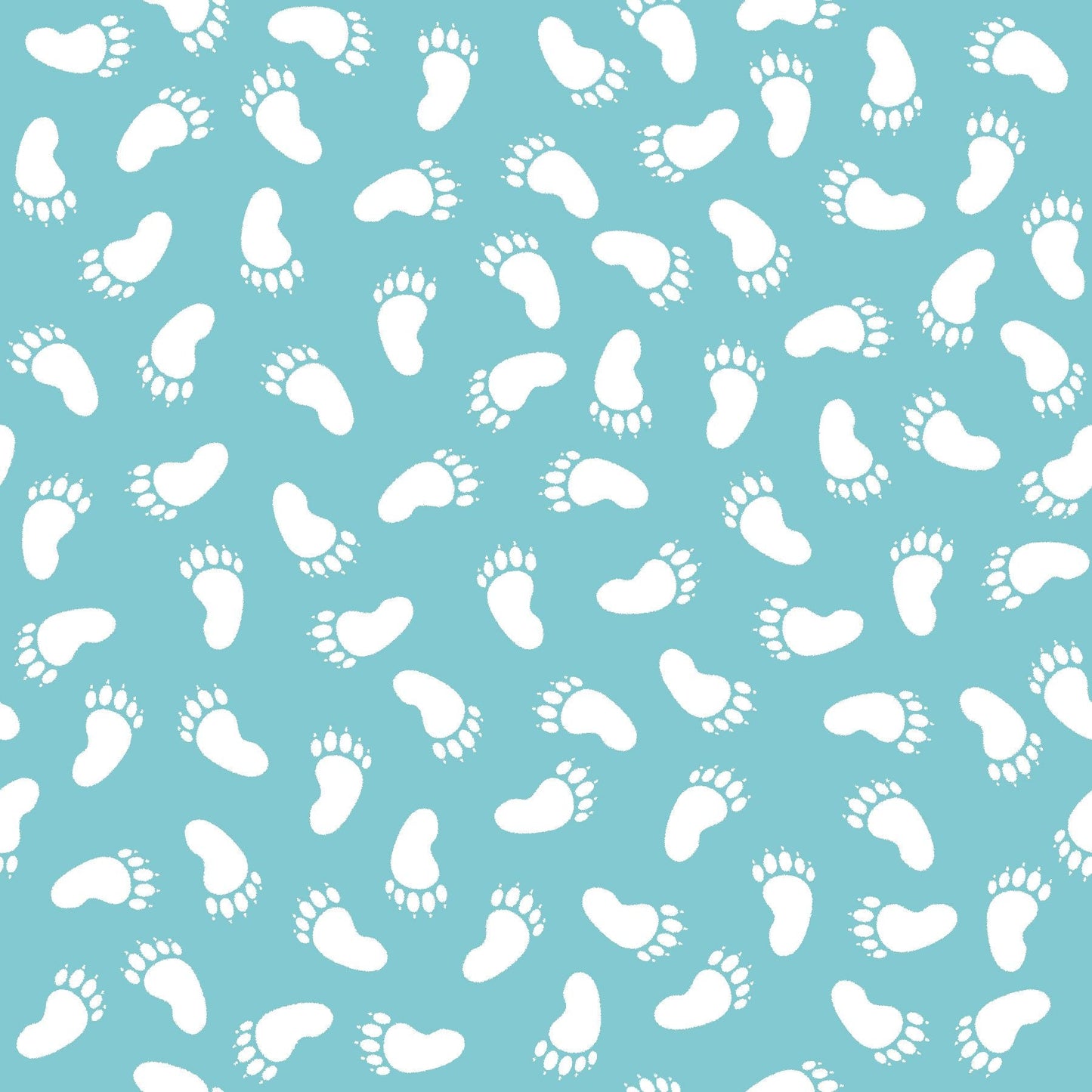 2513-17 Special Delivery Footprints