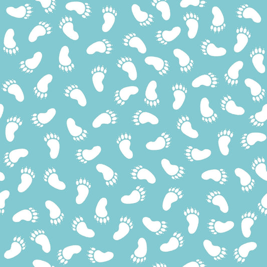 2513-17 Special Delivery Footprints