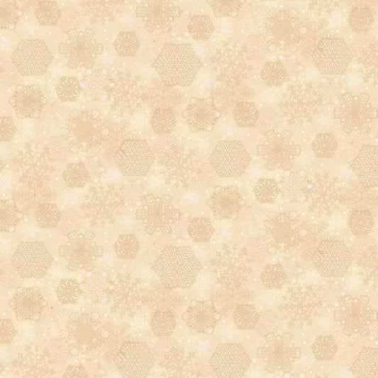 2529-44 Gifts of Gratitude Snowflakes