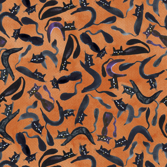2594-49 Cat House - Digital Black Cats