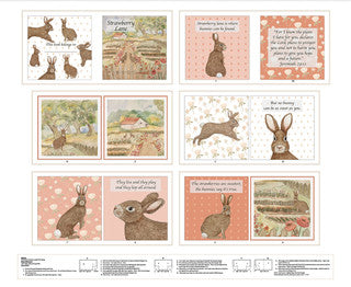 2673BP-26 Strawberry Lane Strawberry Patch Book