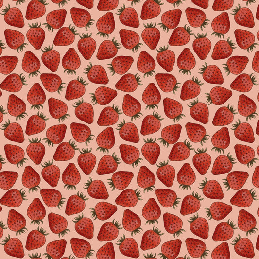 2675-28 Strawberry Lane Packed Strawberries