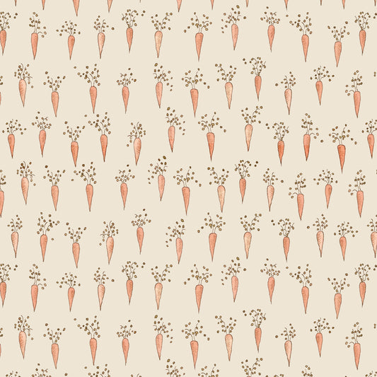 2681-43 Strawberry Lane Carrots