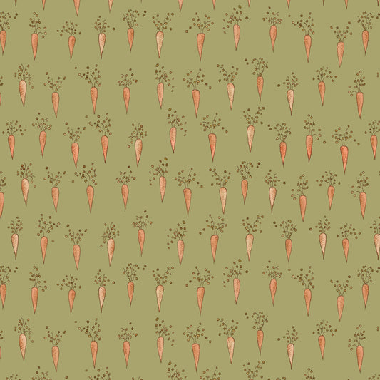 2681-66 Strawberry Lane Carrots