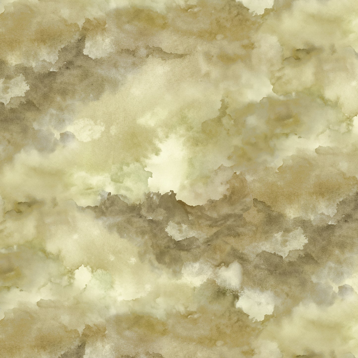 2717-62 Land Called Honah Lee Cloudy Sky Moss