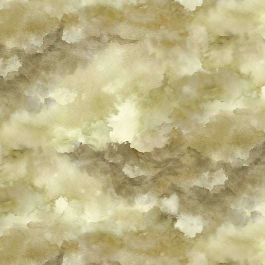 2717-62 Land Called Honah Lee Cloudy Sky Moss