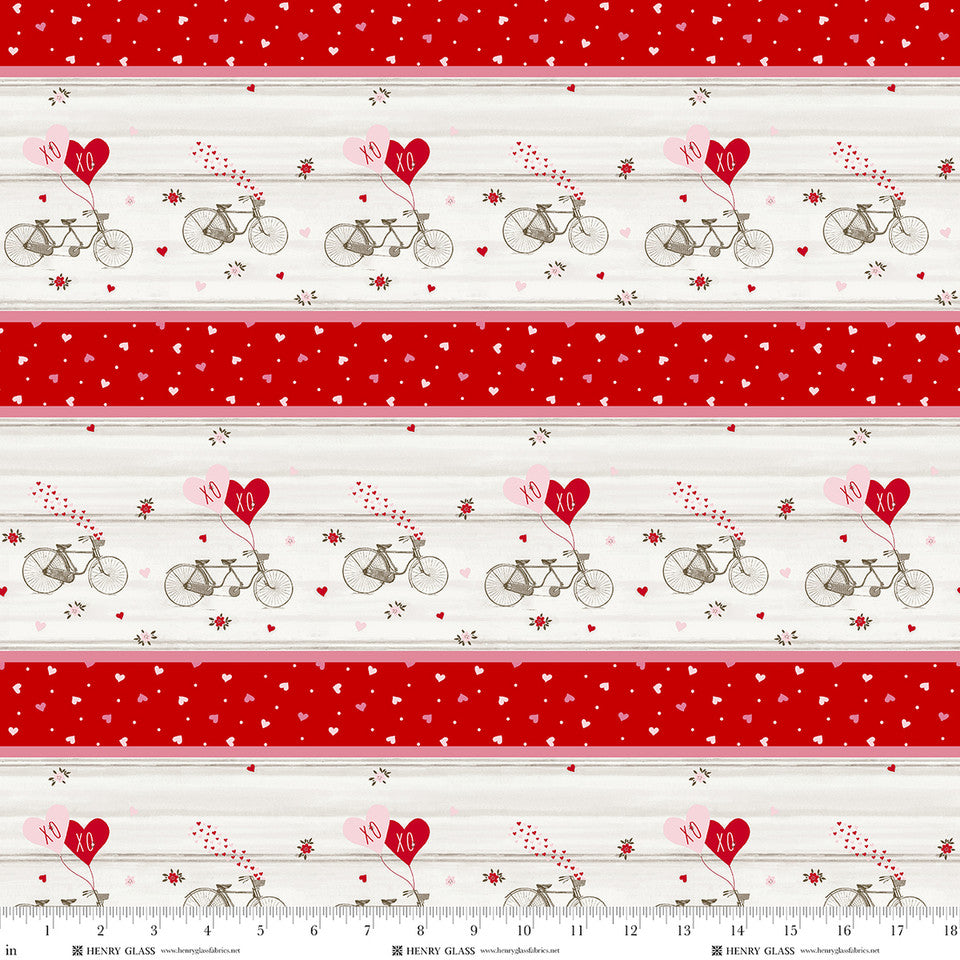 2797-82 Pedals & Passion Border Stripe