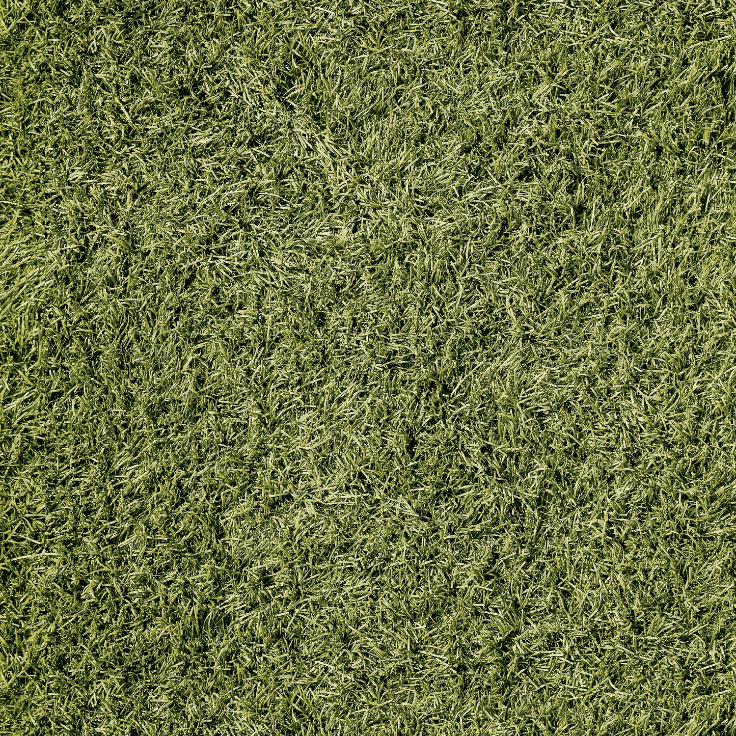 2877-66 Farmall Grass