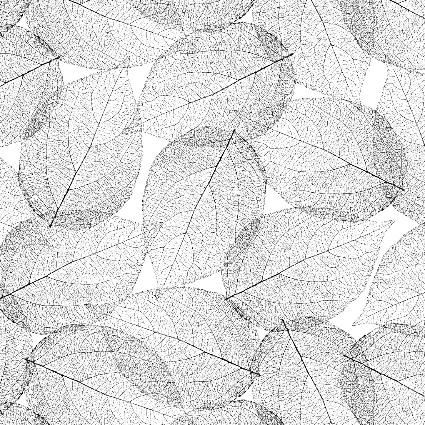 2931-09 Fancy Leaf 118 Inch Leaf Nervure