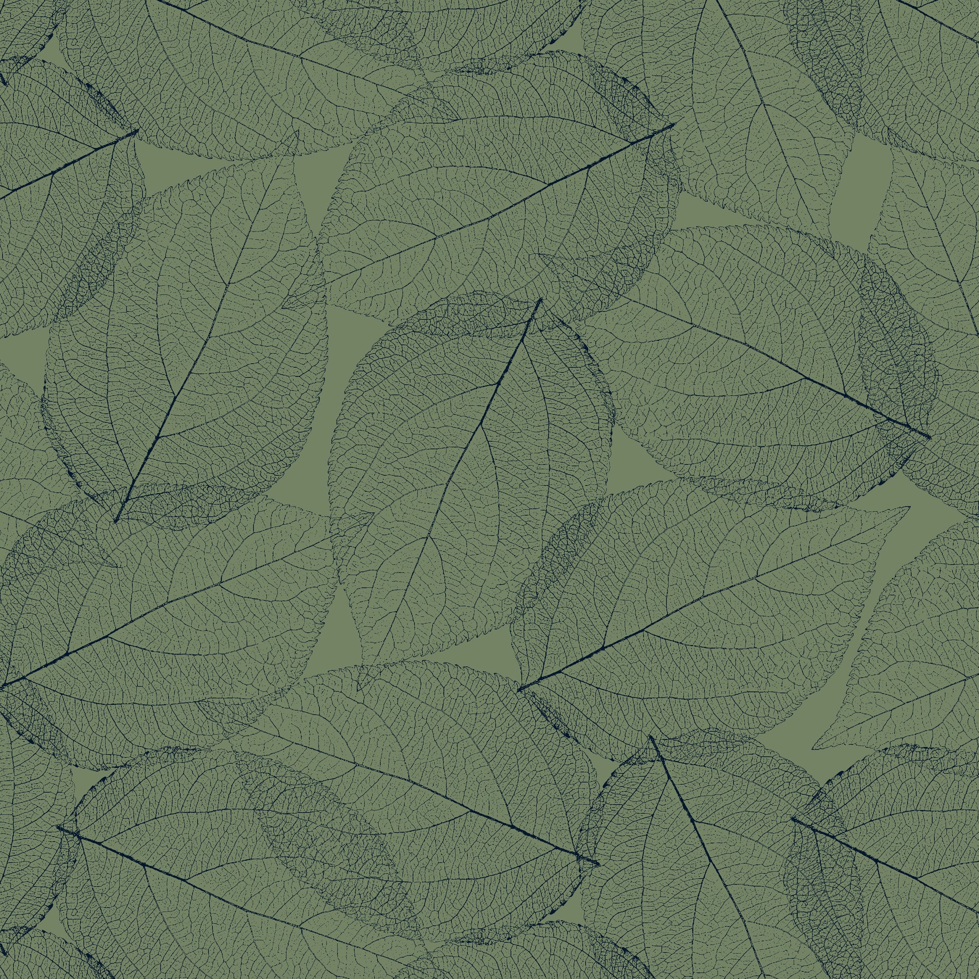 2931-66 Fancy Leaf 118 Inch Leaf Nervure