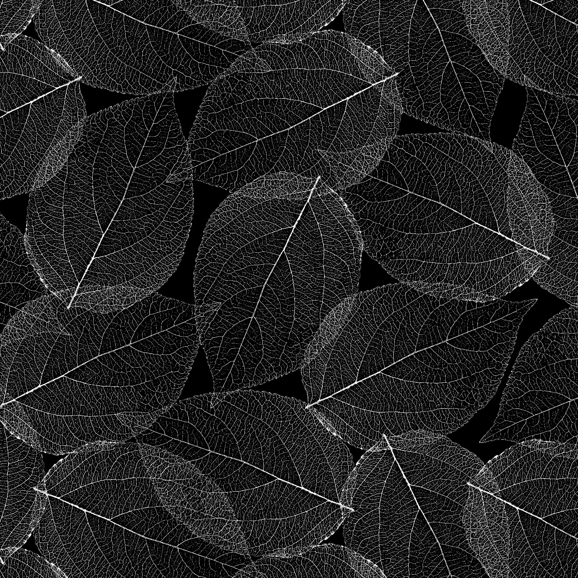 2931-90 Fancy Leaf 118 Inch Leaf Nervure