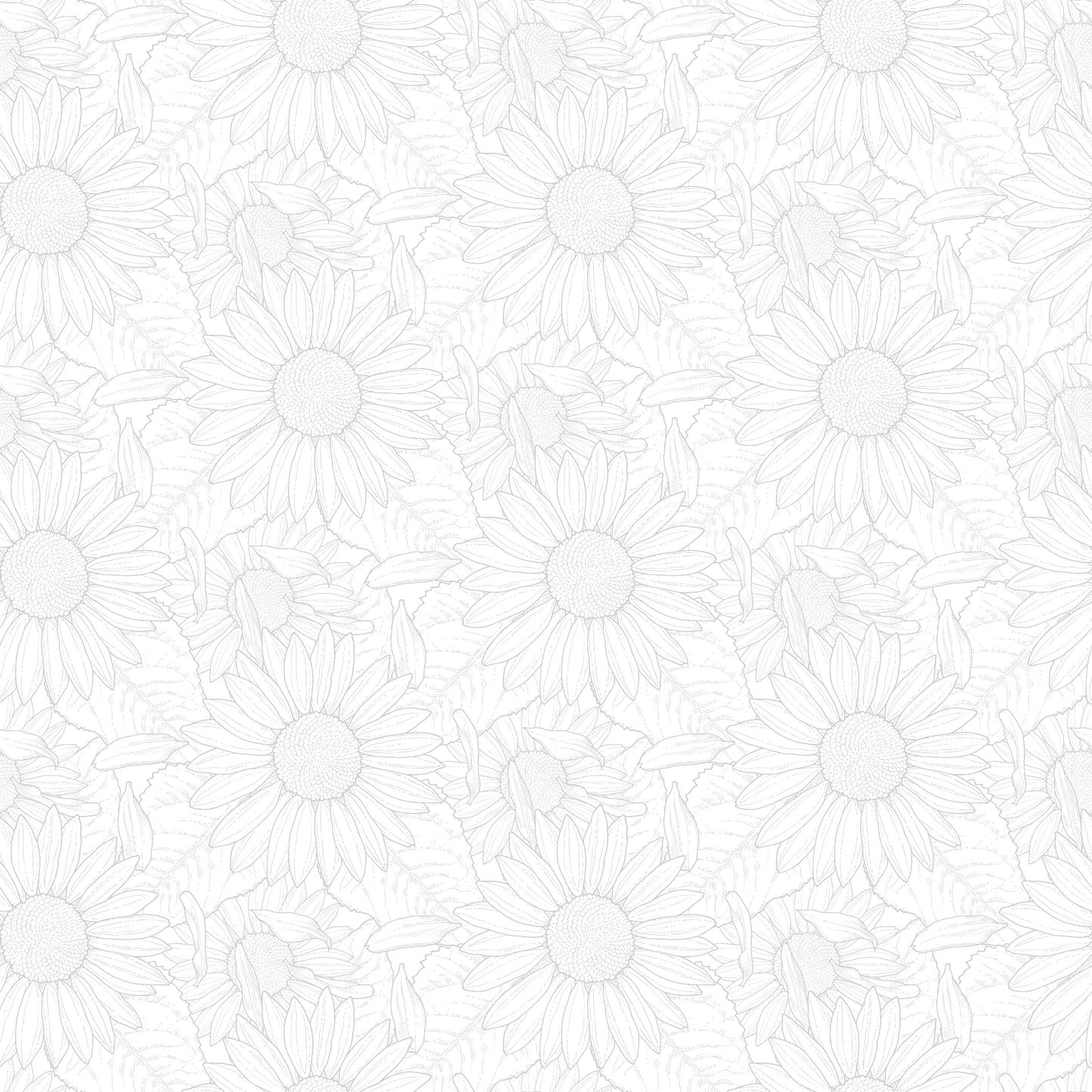 2941-01W Sun Kissed Sunflower Outline