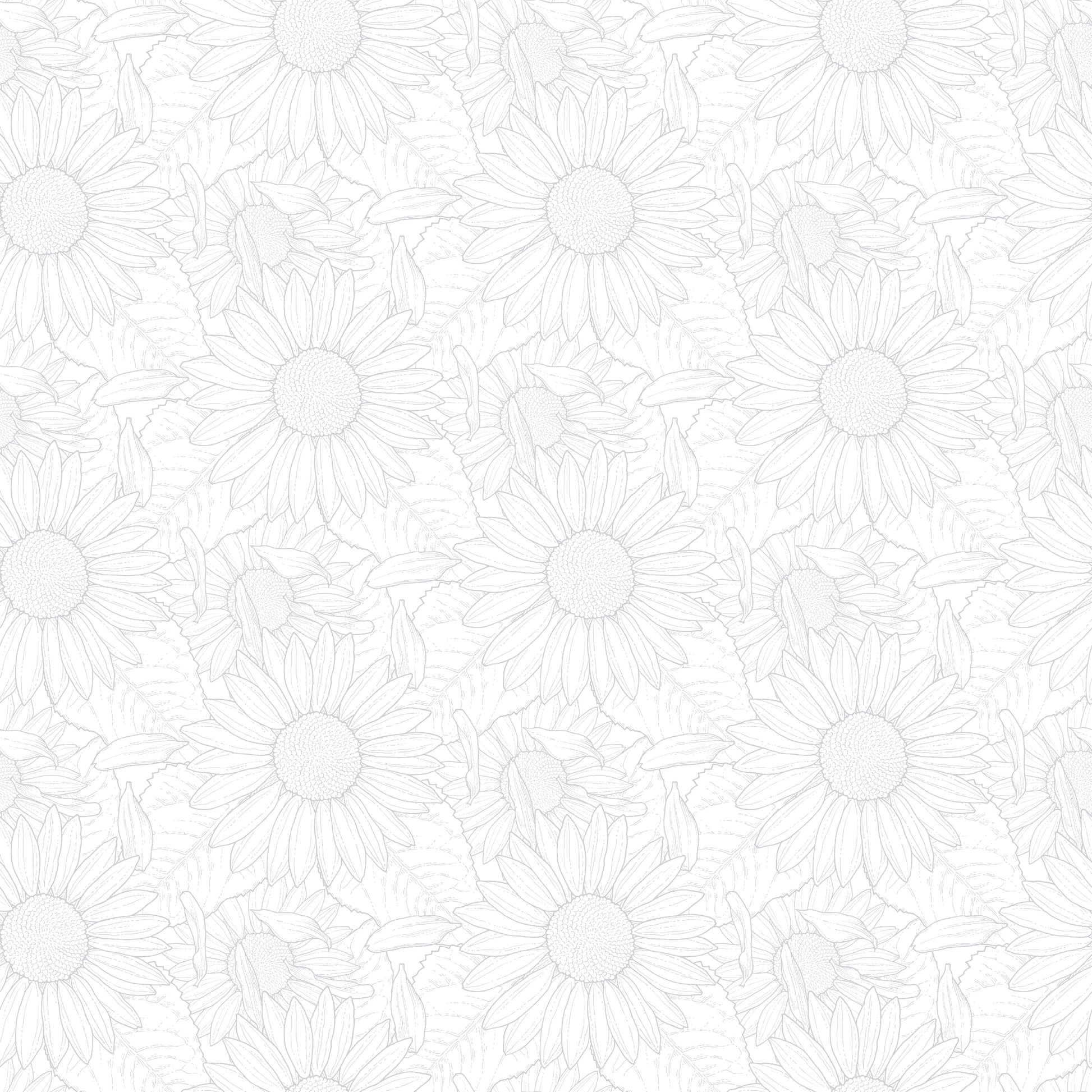 2941-01W Sun Kissed Sunflower Outline