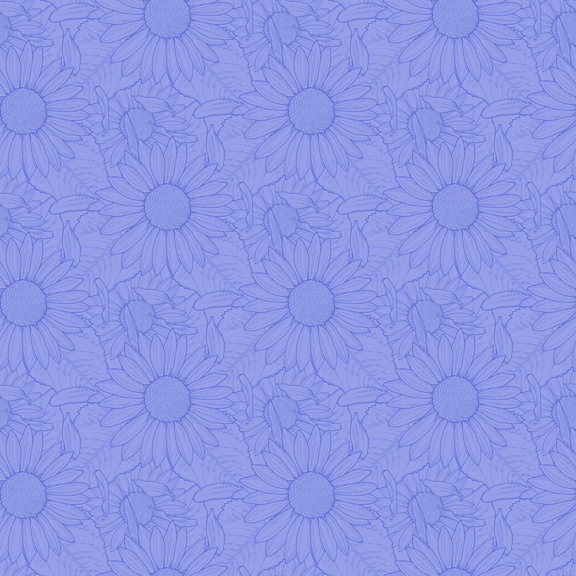 2941-17 Sun Kissed Sunflower Outline