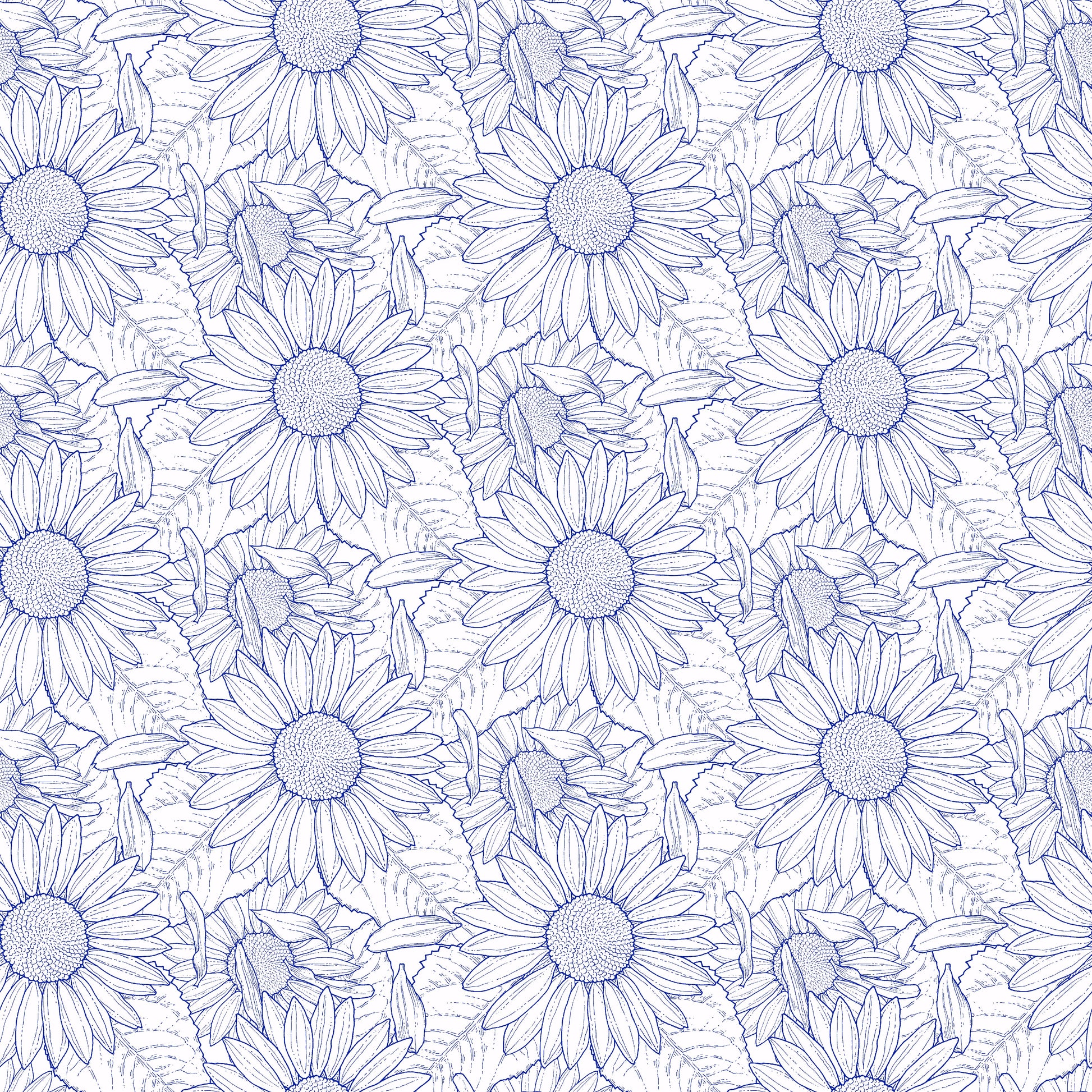 2941-70 Sun Kissed Sunflower Outline